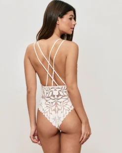 Discount Body en dentee Bodys