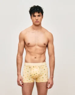 Outlet Boxer en coton iprié cocktai et citron Homme Boxers À Motifs