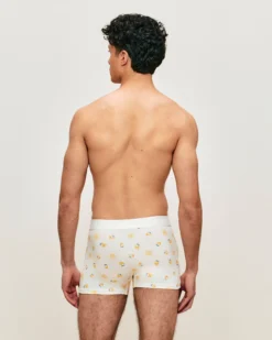 Online Boxer en coton otif citron Homme Boxers À Motifs