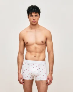 Sale Boxer en coton otif pient Homme Boxers À Motifs
