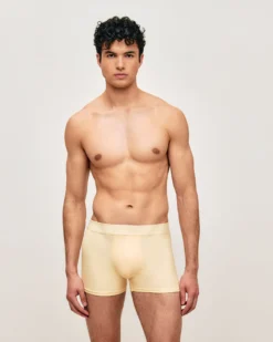 Sale Boxer en icrofibre Homme Boxers Unis