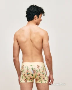 Online Boxer en icrofibre Woody Toy tory Homme Boxers À Motifs